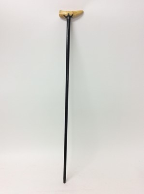 Lot 964 - 19th century walking cane with ebonised shaft, white metal mount and Marine ivory handle.
