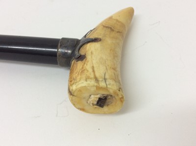 Lot 964 - 19th century walking cane with ebonised shaft, white metal mount and Marine ivory handle.