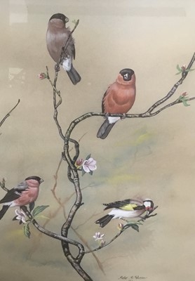 Lot 149 - Reg Snook (contemporary), two watercolours, bird subjects, together with two similar by Peter Holmes
