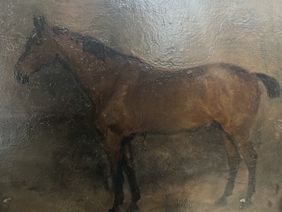 Lot 67 - English School 19th Century, oil on board, A chestnut hunter in a stable, in gilt frame. 19 x 24cm