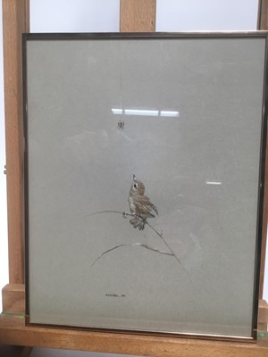 Lot 4 - Morris J Pedger (b. 1955) watercolour - Sparrow