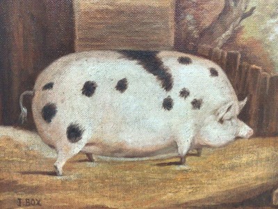 Lot 141 - J. Box, oil on canvas laid on board - A Black Spot Prize Pig in a Sty, signed, 20cm x 25cm, framed