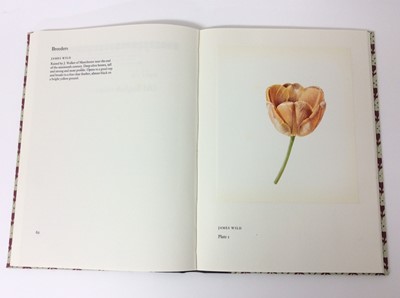 Lot 6 - Wilfred Blunt - Tulips and Tulipomania
