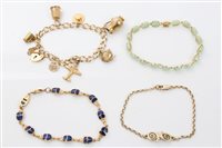 Lot 1504 - Gold (9ct) charm bracelet with various gold...