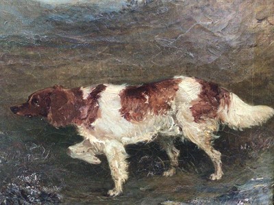 Lot 257 - English School 19th Century, oil on canvas, A setter in a landscape, monogrammed J.C. and dated 1869, in gilt frame. 21 x 28cm.