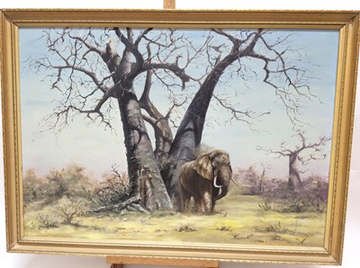 Lot 751 - Baxter, 1978 oil on canvas - an African elephant beneath a tree, signed and dated, 57cm x 82cm, in gilt frame