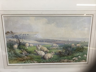 Lot 254 - Follower of Thomas Sidney Cooper, watercolour, sheep on a headland, 22 x 38cm, glazed frame