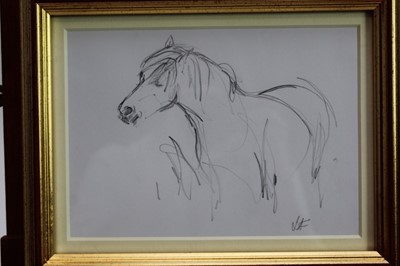 Lot 1809 - Lesley Fotherby (b.1946) pencil drawing - Pony Hovering Hopefully, initialled, in glazed gilt frame, 14cm x 19.5cm 
Provenance: Chris Beetles Ltd. London