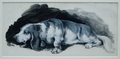 Lot 1814 - Louis Wain (1860-1939) watercolour and bodycolour on card - A Basset Hound, signed, 11cm x 23cm 
Provenance: Atelier, Jersey. Chris Beetles Ltd. London