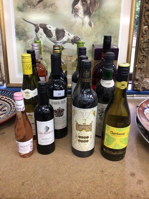 Lot 73 - Nineteen bottles of assorted wines and a bottle of V.S.O.P cognac