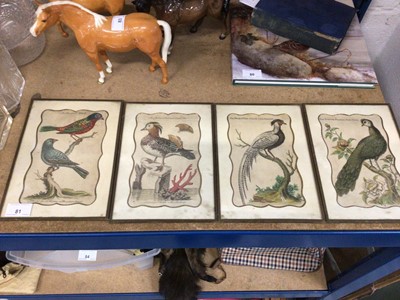 Lot 81 - Group of twelve hand coloured engravings, mostly 18th century, bird, butterfly and botanical