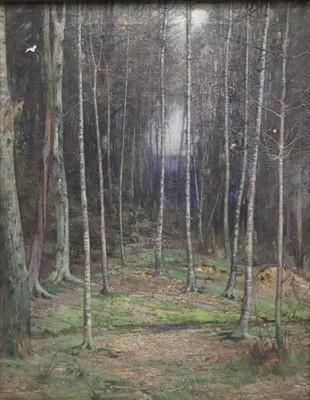 Lot 45 - Early 20th English oil on canvas - woodpecker among silver birches, indistinctly signed, framed
