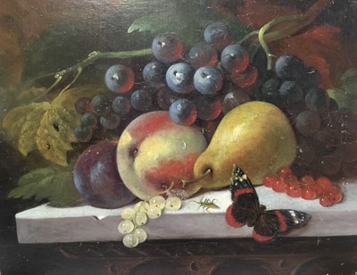 Lot 78 - Manner of George Lance (1802-1864) oil on panel - still life of fruit and insects, unframed