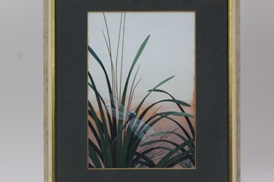 Lot 1791 - Richard Constable (b.1932) two watercolours - Dragonflies, signed and dated 
1969 and 1970, in glazed frames
