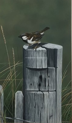 Lot 71 - Len Dally acrylic on paper - sparrow on a post