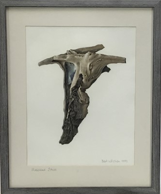 Lot 198 - Bert Kitchen (b.1940) watercolour - 'Mallens Shell', signed and dated 1991, 38cm x 30cm, in glazed frame