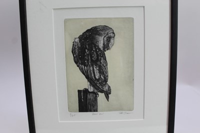 Lot 1880 - Peter Beeson, contemporary, three signed limited edition etchings - Owls, Barn, Short eared and Hawk each signed and numbered, one framed, two mounted
