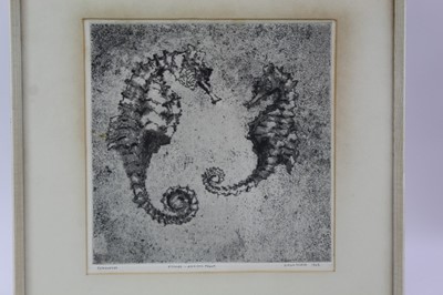 Lot 1896 - Simon Winch, signed artists proof etching - Seahorses, 1965, 23cm square, in glazed frame