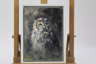 Lot 1894 - Contemporary, English School, two oils, one on board the other canvas - Owls, indistinctly signed, 25cm x 18cm and 50cm x 20cm (2)