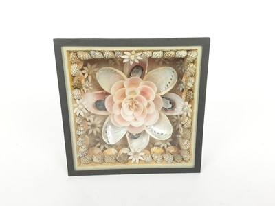 Lot 100 - Contemporary shell sculpture in case by Tess Morley, the case measuring 12.5cm x 12.5cm