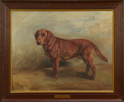 Lot 1032 - Florence Jay (act.1905-1920) oil on canvas - A Labrador, 'Sandgreen Reef', signed and dated 1932, 40cm x 50cm, in original oak frame