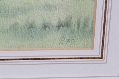 Lot 1178 - *Francis Plummer (1930-2019) watercolour - Wooded Lake, initialled and dated '79, 46cm x 60cm, in glazed frame