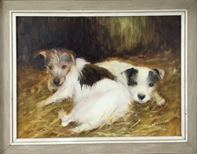 Lot 161 - Iris Collett   (b. 1938), oil on board, Two terrier dogs, signed, in painted frame.    
29 x 39cm.
