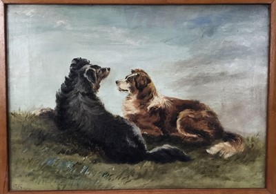 Lot 152 - S. Frost, 19th century, oil on canvas,  two collie dogs, 
signed, in maple frame. 27 x 37cm.
