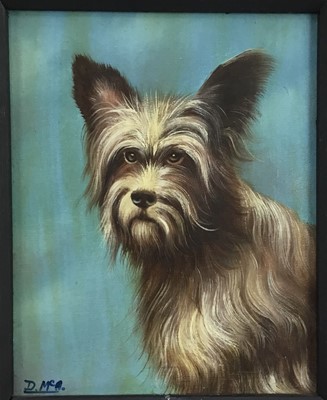 Lot 153 - D. McArthur, oil on canvas,  
"Buddy" a Yorkshire terrier, signed 
with initials, also inscribed on label verso, in black 
frame. 25 x 19cm.