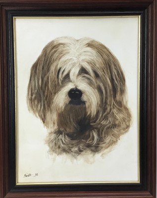 Lot 164 - Davis Nesbitt,  
oil on canvas 
board, 
"Monty" an old English Sheepdog, signed and dated '95, inscribed verso, in 
stained frame. 40 x 29cm.