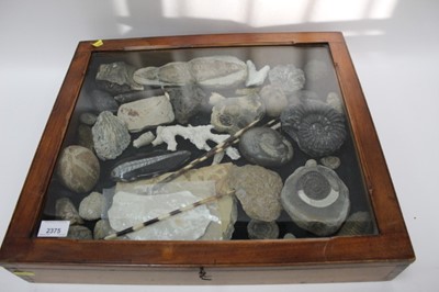 Lot 2375 - Collection of fossils to include ammonites, fossilised fish, belemnite, coral, and other found objects
