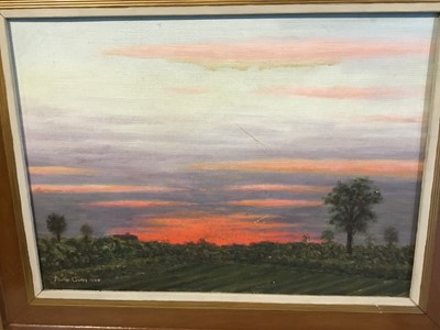 Lot 202 - Philip Gunn - two oils on board - rural landscapes, together with another