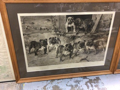 Lot 355 - Two large framed prints - Bulldog and Bull-bitches of the 20th century