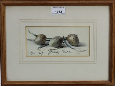 Lot 1032 - Princess Marie d'Orleans group of pencil and watercolour studies - botanical  
Provenance: Prince George Valdemar of Denmark