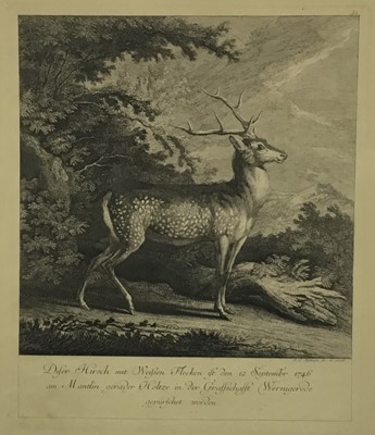 Lot 58 - Set of four late 19th century German engravings