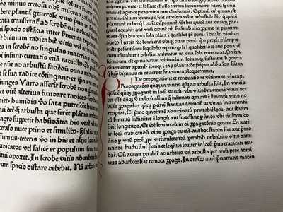 Lot 695 - Petrus de Crescentiis  Ruralia commoda, first edition of the first printed book on agriculture, Augsburg, Johann Schuessler, 1471.