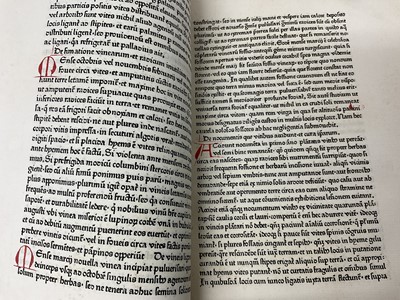 Lot 695 - Petrus de Crescentiis  Ruralia commoda, first edition of the first printed book on agriculture, Augsburg, Johann Schuessler, 1471.