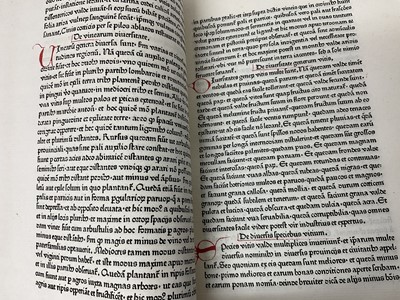 Lot 695 - Petrus de Crescentiis  Ruralia commoda, first edition of the first printed book on agriculture, Augsburg, Johann Schuessler, 1471.