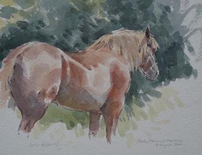 Lot 18 - Colin Allbrook RI RSMA HSEA watercolour - Suffolk Punch 23cm x 30cm mounted