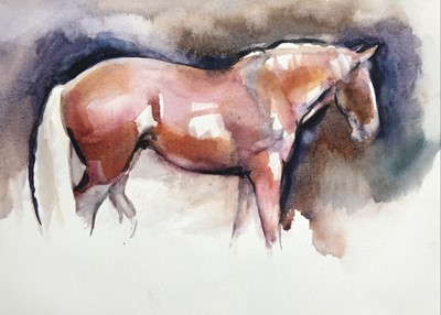Lot 50 - Melanie Wright watercolour - Suffolk Punch Study, 24cm x 33cm unframed