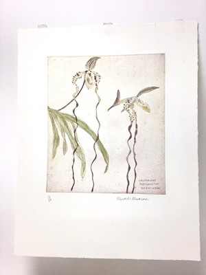 Lot 118 - Dame Elizabeth Blackadder (1931-2021) signed limited edition coloured etching - Orchids, 22/40, unframed 58cm x 46cm
