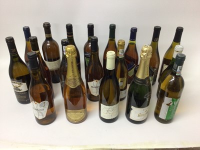 Lot 43 - Twenty bottles of white wine