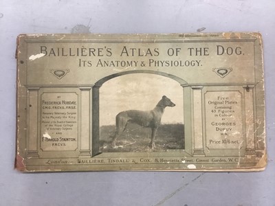 Lot 1716 - Bailliere’s Atlas of the dog book