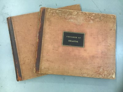 Lot 1725 - Belasyse Genealogy - Pedigree of Belasyse, 2 vols. large folio, leather backed cloth board, 1922 contents include preface, notes and photographs and detailed family tree