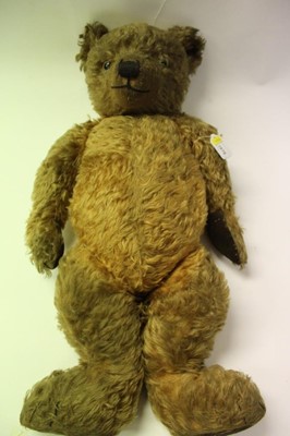 Lot 1879 - Large Mohair bear with velvet pads and paws, stitched nose and glass eyes