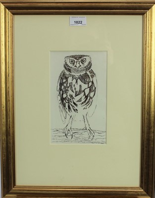 Lot 1022 - John Norris Wood (1930-2015) pen and ink - Little Owl Perching, 21.5cm x 13cm, in glazed gilt frame  
Provenance: Chris Beetles Ltd., London